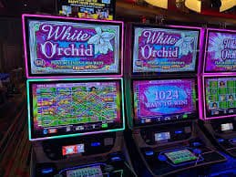 game89 bet